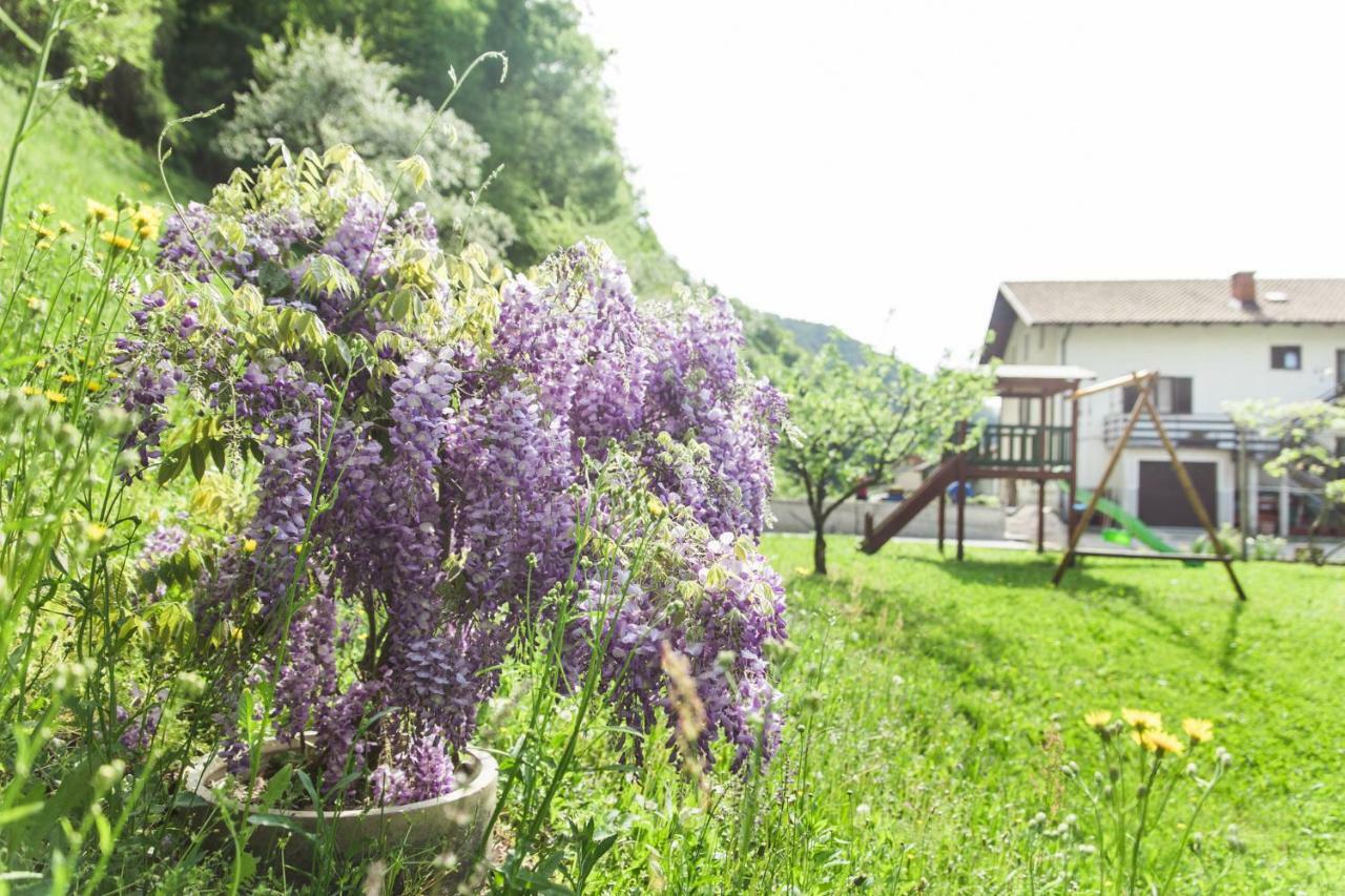 Hotel Sobe Baca Most na Soči Exteriér fotografie